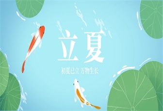 荷塘新绿 共沐初夏