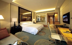 张家港Modern deluxe business suite
