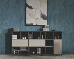 Combination file cabinet