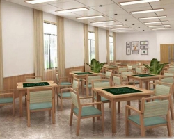 Chess area