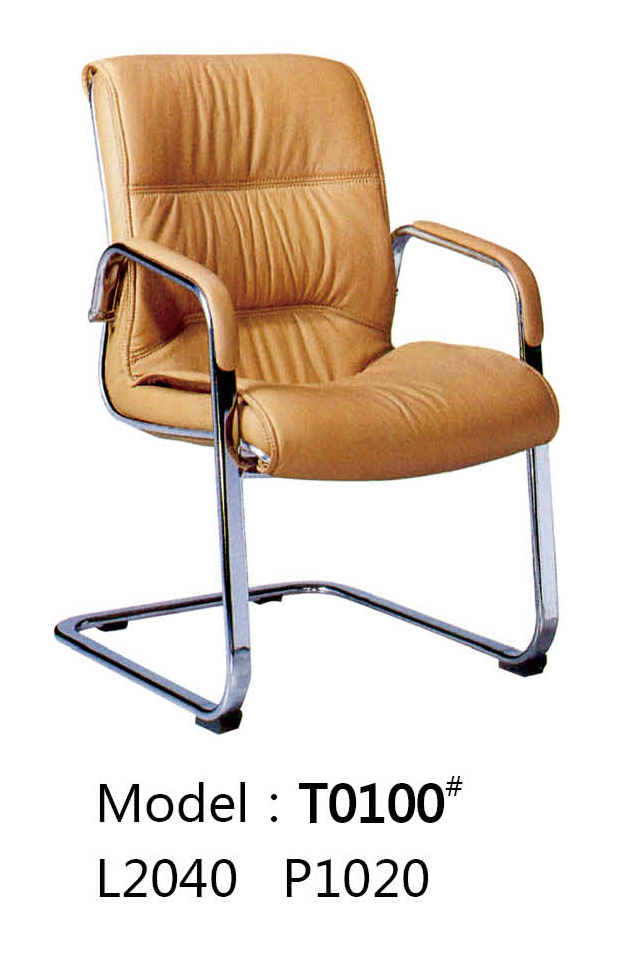 5.T0100-.jpg
