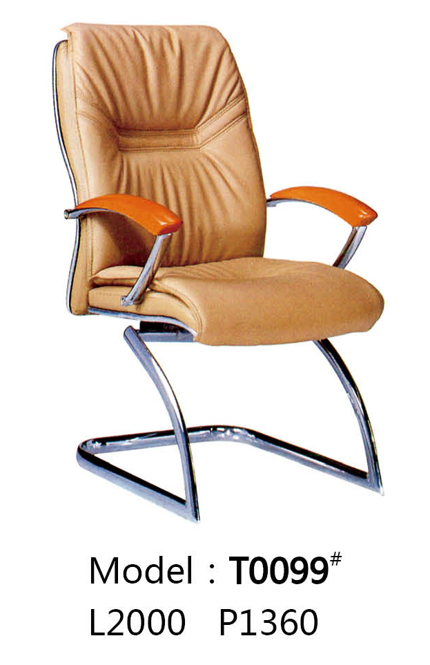 4.T0099-.jpg